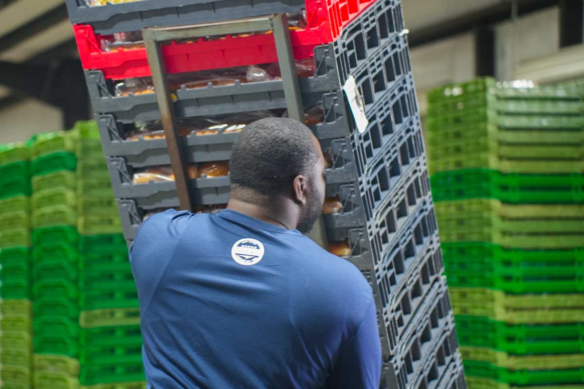 Driver unloading a stack of plastic crates filled with bread